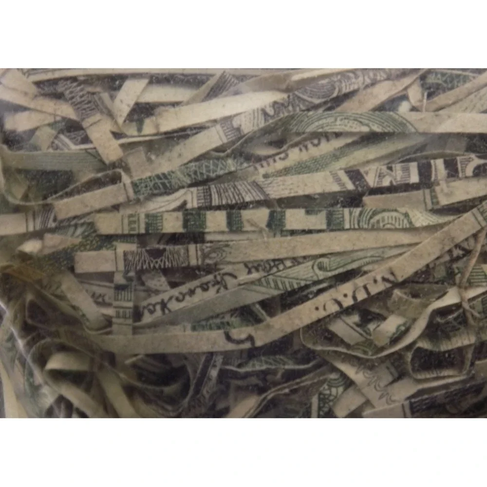 Shredded U. S. Currency Plastic Doll From Dollar Bills Destroyed Cash Patch